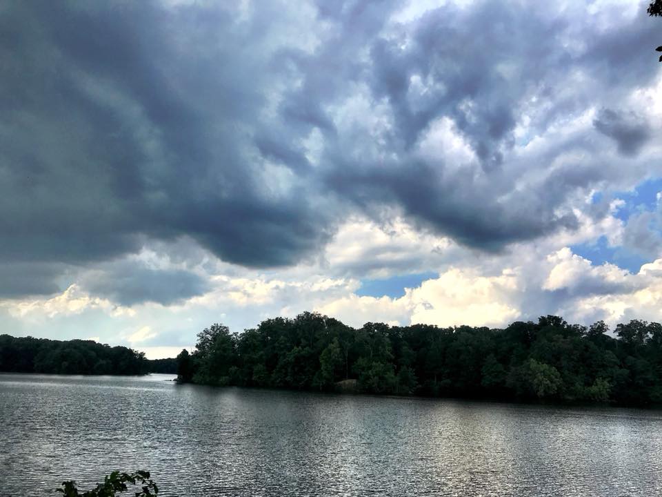 35236542_10156310068907988_2993362914187935744_n