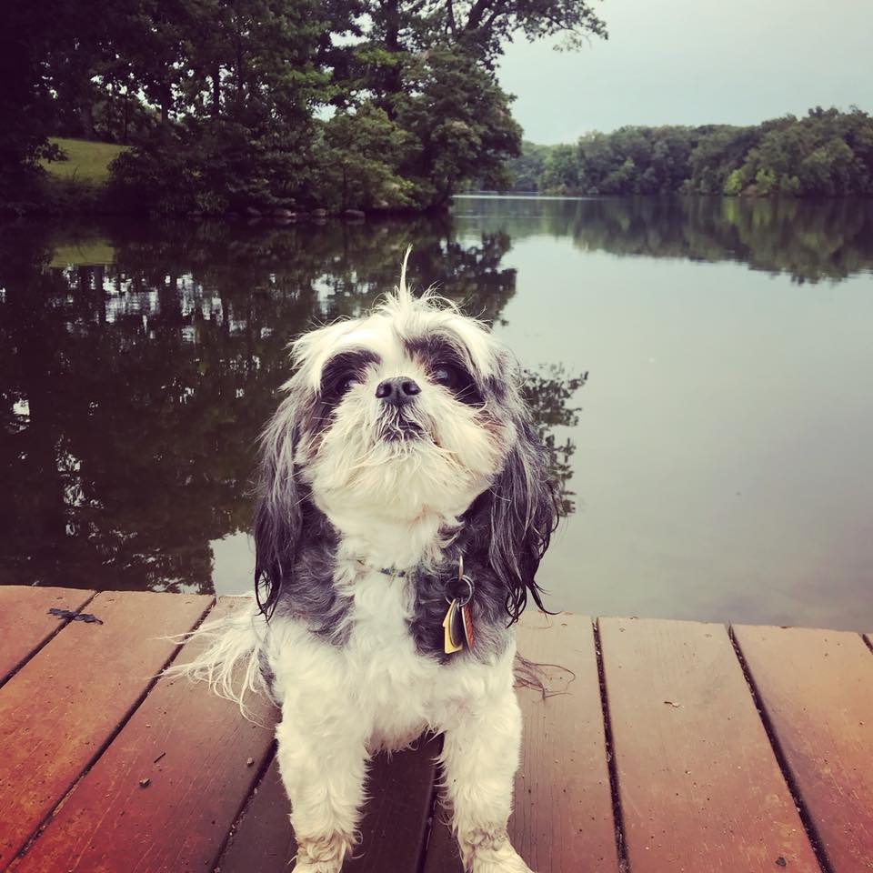 35991031_10156310069592988_1021858369956216832_n