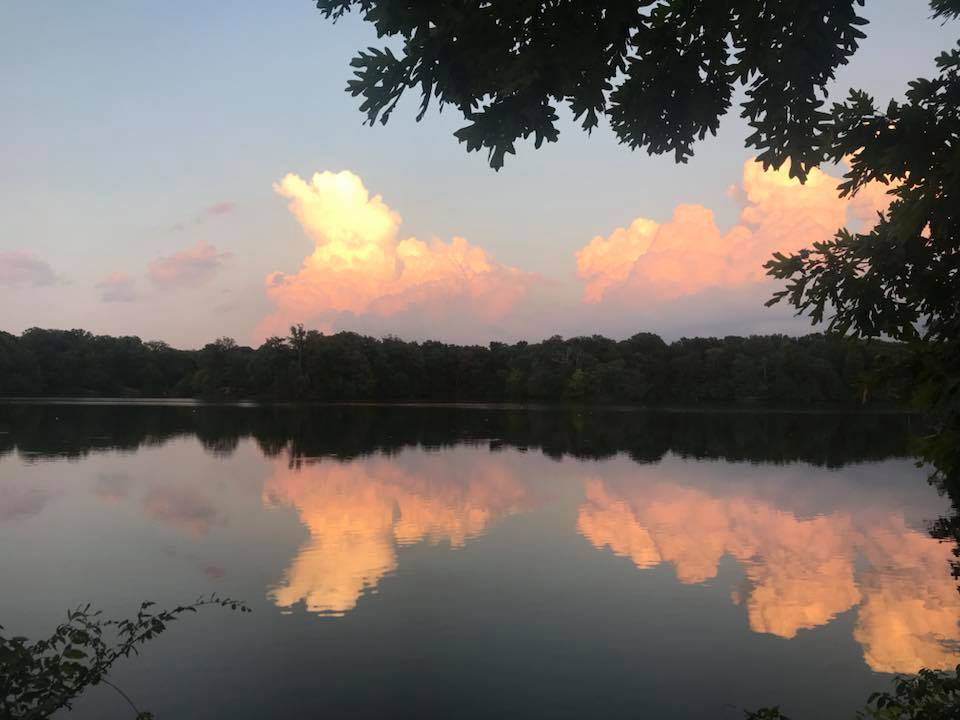 36176492_10156310156442988_8439301473224884224_n