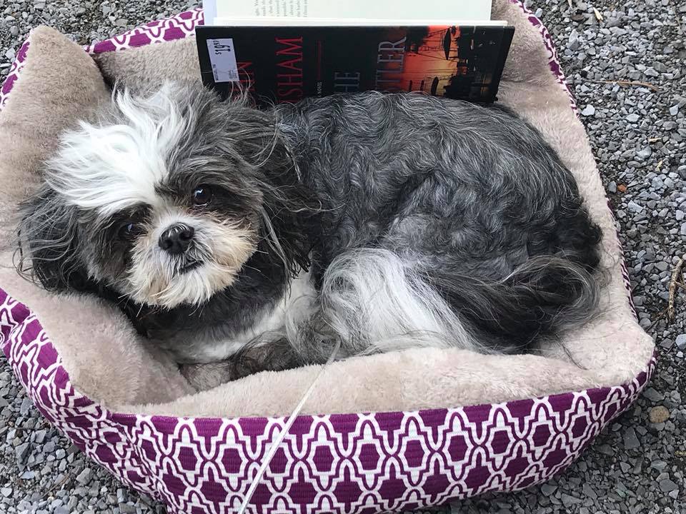 36188883_10156310069617988_7459241231072100352_n