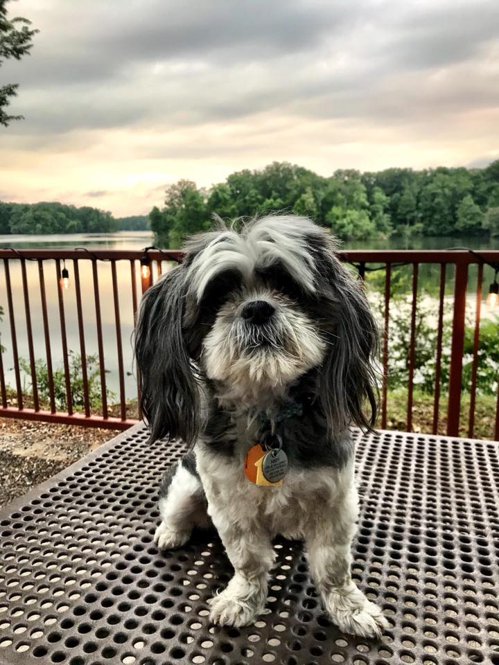 36189338_10156310069387988_8691074487635935232_n